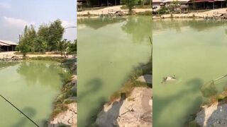 Паттайя рыбалка 15 02 24 озеро и что реально ловится на месте