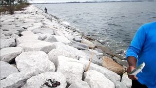 Чонбури: донная ловля у волнореза, место для крупной рыбы работает ли сейчас