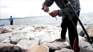 Чонбури: донная ловля у волнореза, место для крупной рыбы работает ли сейчас