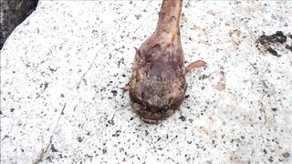 Чонбури: донная ловля у волнореза, место для крупной рыбы работает ли сейчас