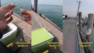 พัทยา ловля наกุ้งฝอย дает результат лучше ожиданий и рыба идет разная