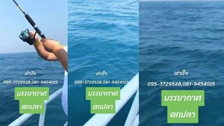 Паттайя / Pattaya - аренда лодки: морская рыбалка в Pattaya и кальмар, что по цене?