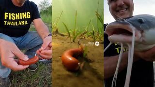 Тайланд, озеро Khao: охота на тигрового сома и других гигантов на донные снасти