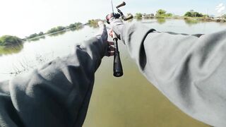 Крупный snakehead на придорожном споте в Таиланде и бодрый выезд с утра