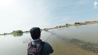 Крупный snakehead на придорожном споте в Таиланде и бодрый выезд с утра