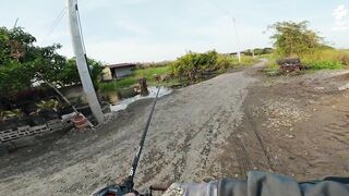 Крупный snakehead на придорожном споте в Таиланде и бодрый выезд с утра