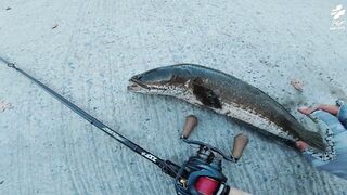 Крупный snakehead на придорожном споте в Таиланде и бодрый выезд с утра