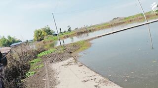 Крупный snakehead на придорожном споте в Таиланде и бодрый выезд с утра