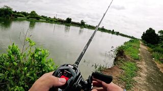 Охота на щуку-змееголов в пруду Tainana и дневник тайской рыбалки MajorCraft Day