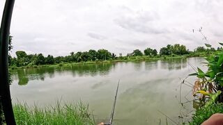 Охота на щуку-змееголов в пруду Tainana и дневник тайской рыбалки MajorCraft Day