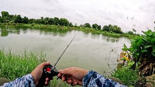 Охота на щуку-змееголов в пруду Tainana и дневник тайской рыбалки MajorCraft Day