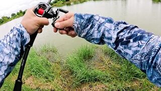 Охота на щуку-змееголов в пруду Tainana и дневник тайской рыбалки MajorCraft Day