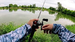 Охота на щуку-змееголов в пруду Tainana и дневник тайской рыбалки MajorCraft Day