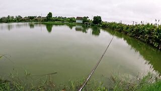 Охота на щуку-змееголов в пруду Tainana и дневник тайской рыбалки MajorCraft Day