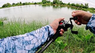 Охота на щуку-змееголов в пруду Tainana и дневник тайской рыбалки MajorCraft Day