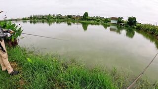 Охота на щуку-змееголов в пруду Tainana и дневник тайской рыбалки MajorCraft Day