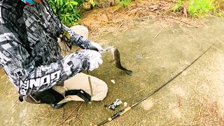 Охота на щуку-змееголов в пруду Tainana и дневник тайской рыбалки MajorCraft Day