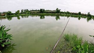 Охота на щуку-змееголов в пруду Tainana и дневник тайской рыбалки MajorCraft Day