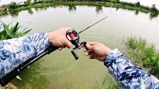 Охота на щуку-змееголов в пруду Tainana и дневник тайской рыбалки MajorCraft Day