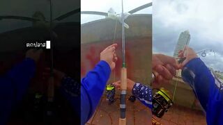 Рыбалка на Chao Phraya в Бангкоке: когда красная вода пришла и хищник вышел на охоту