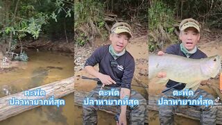 ปลาที่สูญพันธุ์: правда ли что ปลา ตะพัด исчезла и при чем тут Malaysia