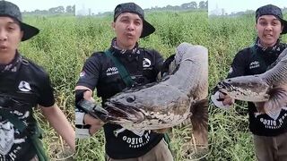 Утренняя охота на гигантского โคตรใหญ่ - что за хищник и где взяли?