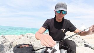 Семь дней рыбалки - как проходит недельный fishing-тур в Dubai