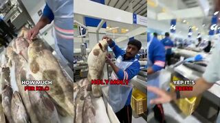 Dubai, как устроиться продавать рыбу и где искать работу новичку