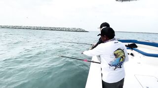 Морская рыбалка центр Dubai и причалы вокруг что клюет прямо в городе?