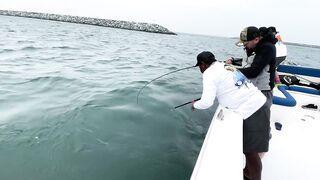 Морская рыбалка центр Dubai и причалы вокруг что клюет прямо в городе?