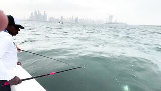 Морская рыбалка центр Dubai и причалы вокруг что клюет прямо в городе?
