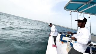 Морская рыбалка центр Dubai и причалы вокруг что клюет прямо в городе?