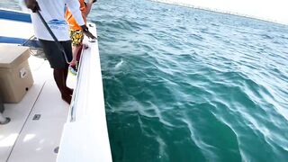 Морская рыбалка центр Dubai и причалы вокруг что клюет прямо в городе?