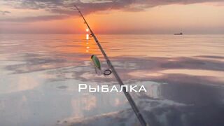 Dubai - рыбалка с новичками, как поставить джиг чтобы пошли поклевки