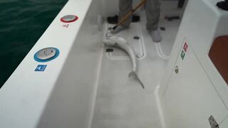 Dubai - рыбалка с новичками, как поставить джиг чтобы пошли поклевки