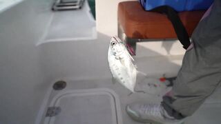 Dubai - рыбалка с новичками, как поставить джиг чтобы пошли поклевки