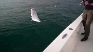 Dubai - рыбалка с новичками, как поставить джиг чтобы пошли поклевки