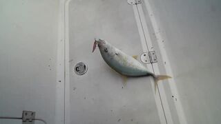 Dubai - рыбалка с новичками, как поставить джиг чтобы пошли поклевки