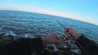 Морская рыбалка в Дубае и ОАЭ - что нужно знать перед поездкой за трофейным GT