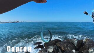 Морская рыбалка в Дубае и ОАЭ - что нужно знать перед поездкой за трофейным GT