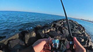 Морская рыбалка в Дубае и ОАЭ - что нужно знать перед поездкой за трофейным GT