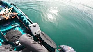 Dubai UAE - морская рыбалка с каяка ультралайт джиг по kingfish и GT