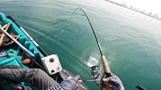 Dubai UAE - морская рыбалка с каяка ультралайт джиг по kingfish и GT