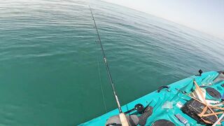 Dubai UAE - морская рыбалка с каяка ультралайт джиг по kingfish и GT