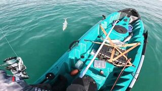 Dubai UAE - морская рыбалка с каяка ультралайт джиг по kingfish и GT