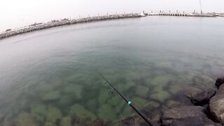 морская рыбалка в Dubai и ОАЭ где ловят с берега и с катера, и что реально попадается