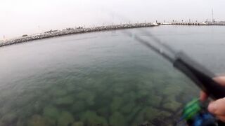 морская рыбалка в Dubai и ОАЭ где ловят с берега и с катера, и что реально попадается