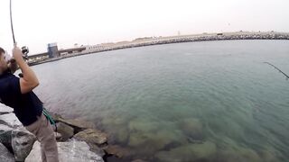 морская рыбалка в Dubai и ОАЭ где ловят с берега и с катера, и что реально попадается