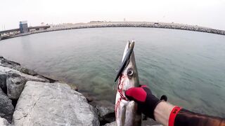 морская рыбалка в Dubai и ОАЭ где ловят с берега и с катера, и что реально попадается