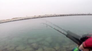 морская рыбалка в Dubai и ОАЭ где ловят с берега и с катера, и что реально попадается